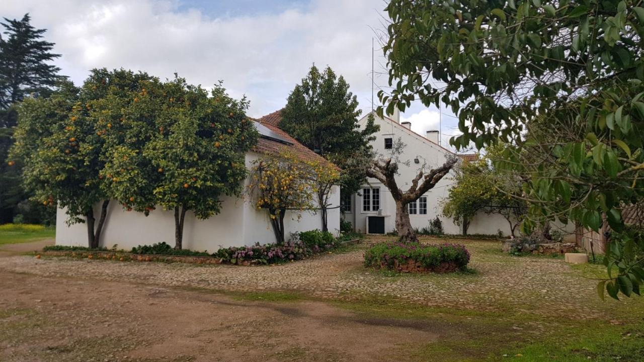 Готель Quinta Do Cacador Ештремош Екстер'єр фото